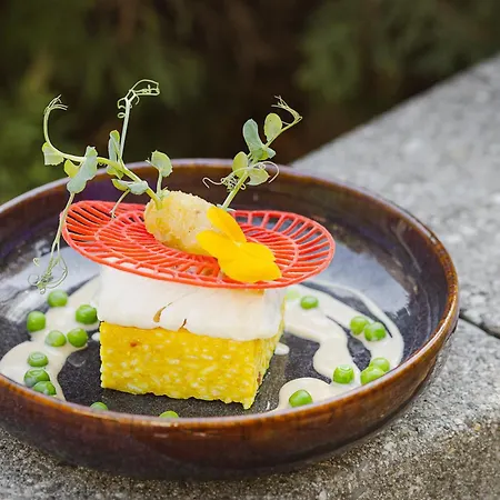 Brit Florimont Hotel Saint-Ferréol